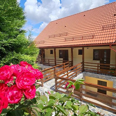 Matei Residence براشوف المظهر الخارجي الصورة
