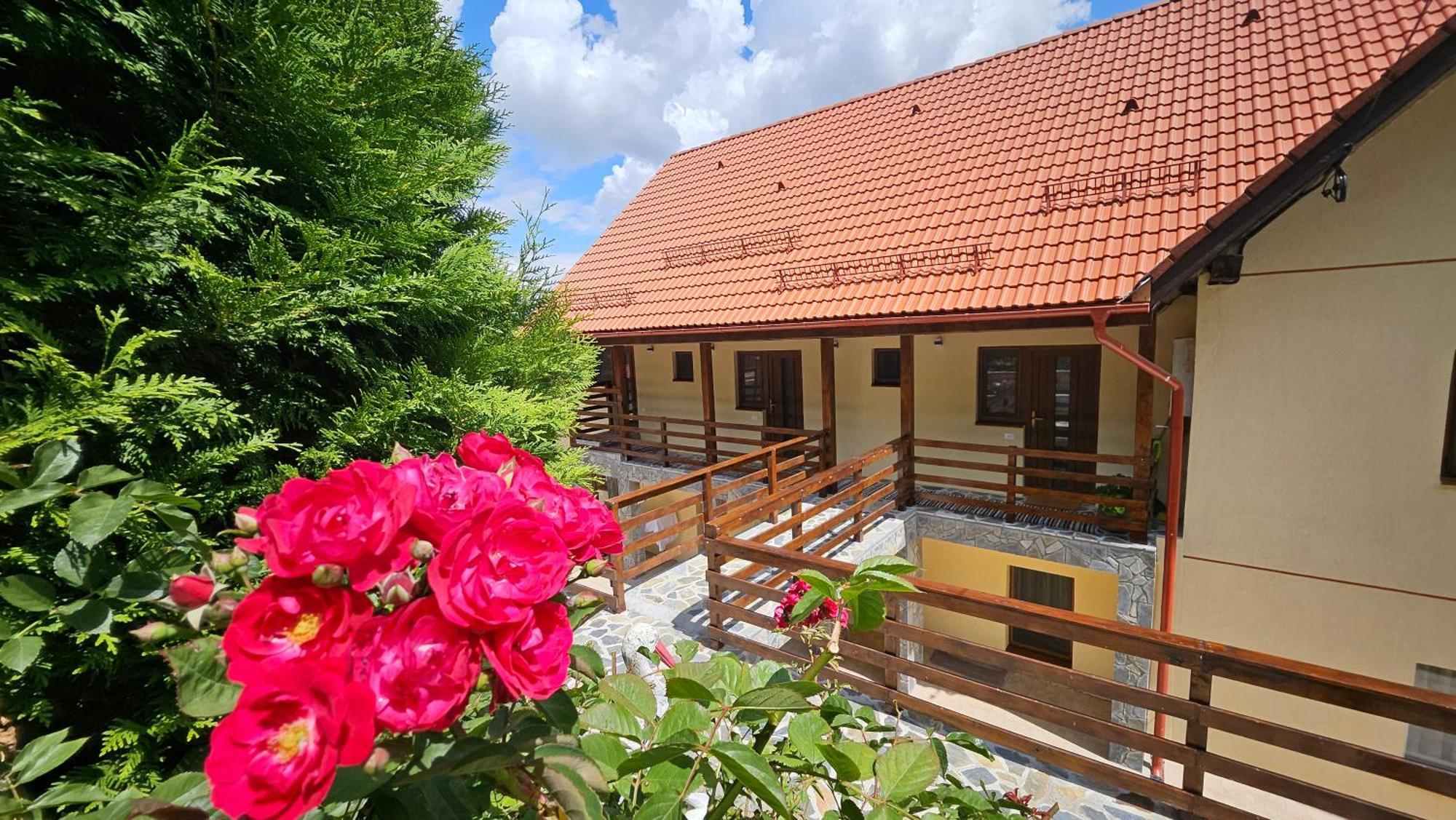 Matei Residence براشوف المظهر الخارجي الصورة