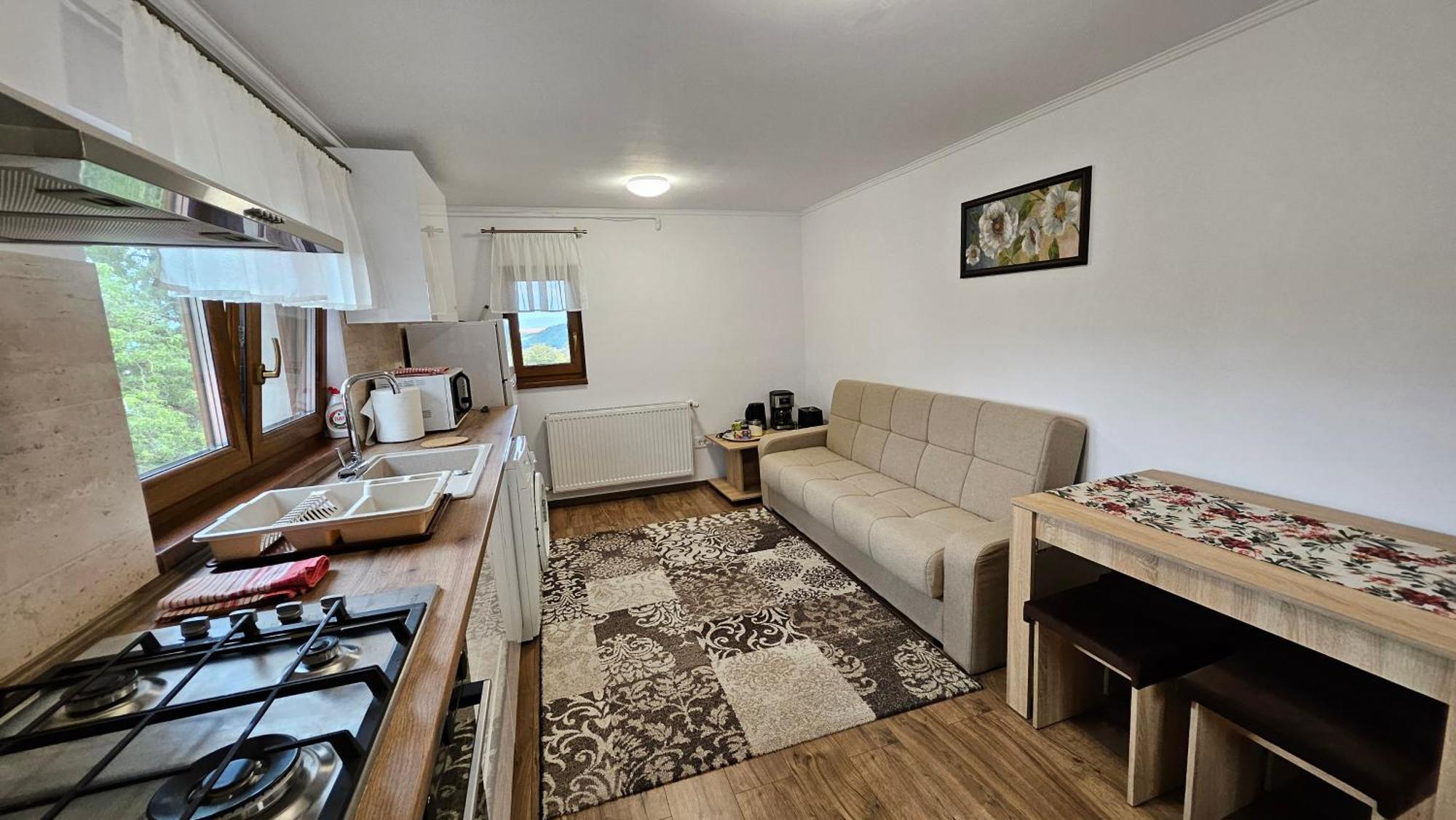 Matei Residence براشوف المظهر الخارجي الصورة